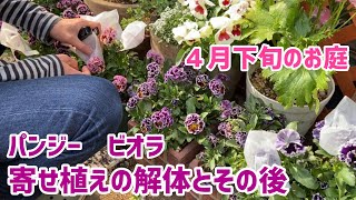 【ガーデニング】春のお庭作り/寄せ植えの解体/冬越しした球根の植えつけ