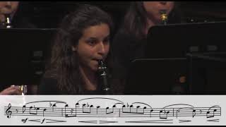The Most Beautiful Clarinet Solo Ever “Lux Perpetua” Frank Ticheli