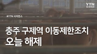 충주 구제역 이동제한조치 오늘 해제 / YTN 사이언스