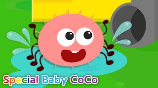 🕷️ Itsy Bitsy Spider + More Nursery Rhymes & Kids Songs - Special Baby Coco