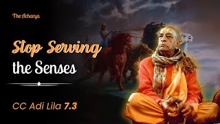 Stop Serving the Senses | Srila Prabhupada | CC Adi Lila 7.3