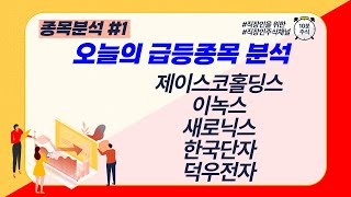 제이스코홀딩스 이녹스 새로닉스 한국단자 덕우전자