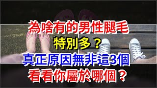 為啥有的男性腿毛特別多？真正原因無非這3個，看看你屬於哪個？，[健康之家]