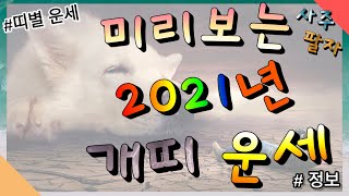 미리보는 2021년 개띠 운세를 알아보자!! - 사주,띠별운세,토정비결,신년운세,팔자,사주팔자