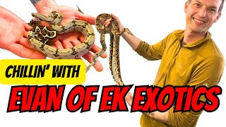 Red Tail Boas, Naturalistic Habitats, Tiny Snakes And More With Evan Of EK Exotics!