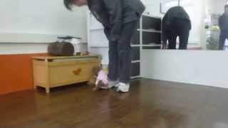 パピーパーティーフリータイム☆犬のようちえん高槻教室