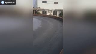 waste water treatment from paper making factory