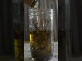 diy lavender rosemary infused oil for hair and skin