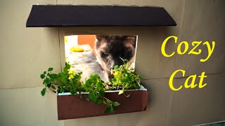 Building A Luxury House For My Cat