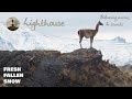 Fresh fallen snow by Chris Haugen | Lighthouse - Relaxing music & sounds