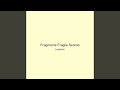 Fragments Fragile Serene