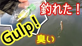 自作系ワカサギ釣り ガルプはワカサギに効果があるか！実験！ 「Gulp!」