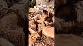 Massive 8000 ft lb Rock Hammer Spits Log. #rockbreaker #excavator #construction #work