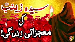 Bibi Zainab Wiladat | Syeda Zainab Binte Ali | Bibi Zainab | Shaban 2023 | Imam Hussain |Documentary