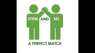 STEM and SEL: A Perfect Match