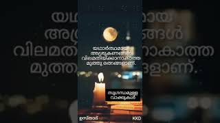 #shorts #sufism #sufi ചിന്താ വീചികള്‍