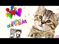 Cat Singing Happy Birthday