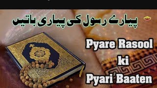 Pyare Rasool Ki Pyari Baaten  || Part 1 || Quran Aur HadeesQuran aur Hadees•