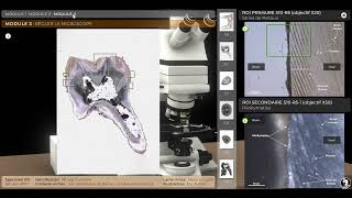 Virtual microscopy