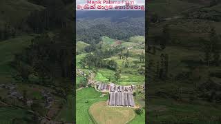 Menik Palama Farm | මැණික් පාලම ගොවිපොළ, Bopaththalawa...