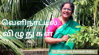 வெளிநாட்டில் விழுதுகள் -Motivational Messages