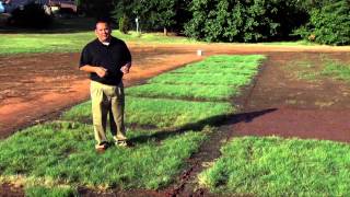 Native Turfgrass Mixes