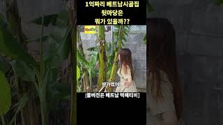 1억짜리 베트남시골집 뒷마당에는요~(풀버전은 댓글로...)