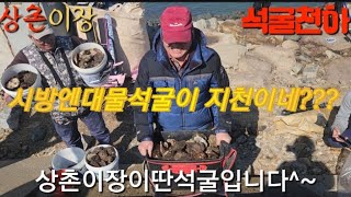 시화방조제에는 대물석굴이 지천이넹???#시방주간해루질,#석굴,#소라,새조개,#해삼,