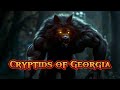 Top 5 Cryptids of Georgia