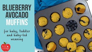 Blueberry Avocado Mini Muffins