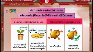 พันธุวิศวกรรม - สื่อการเรียนการสอน วิทยาศาสตร์ ม.3