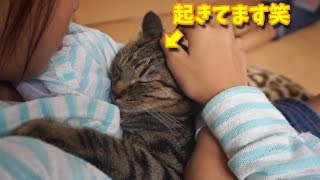 大好きな娘に抱っこされて、寝たふりをするコテ♪【すずとコテツ】