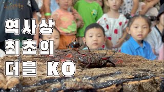 (사상 최초의 더블 KO) 장수풍뎅이 최강자를 가려라! IOS 6