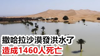 撒哈拉沙漠發洪水了，造成1460人死亡【靜思有我】