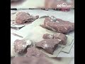 chinese boy discovers dinosaur eggs cctv english