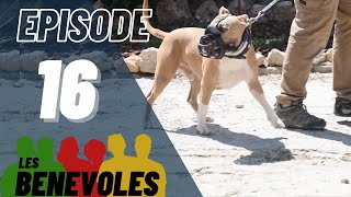 Les Bénévoles - Episode 16 - Esprit Dog