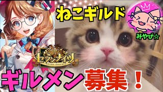 【セブンナイツ】常勝軍団「ねこギルド」ギルドメンバー募集中！メンバーの教王ニーソマンの謎に大爆笑！