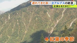 香嵐渓は11/19頃の見通し…東海3県の『紅葉スポット』今年の見頃予想 例年10月の所は遅くなる見込み