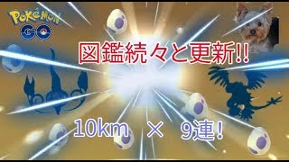 【ポケモンGO】10kmタマゴ9連割りに挑戦しています！イッシュ図鑑を続々と更新中！