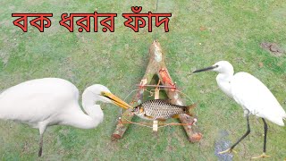 Brid Trap বক ধরার ফাঁদ। বক ধরার কৌশল। বক ধরার ফাঁদ তৈরি। মুরগী ধরার ফাঁদ তৈরি। bok pahki fad.