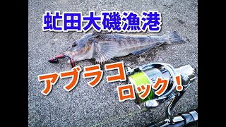 アブラコを求めて虻田大磯漁港（噴火湾）でロックフィッシュ！ヒットワームやアクションは？！