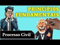 Princípios Fundamentais (Processo Civil) - Resumo Completo