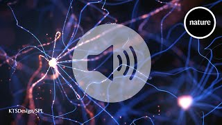 AI can't learn new things forever — an algorithm can fix that