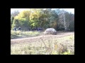 Saaremaa Rally 2012 ss9