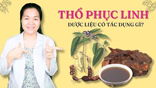 Cây thổ phục linh có tác dụng gì? Các bài thuốc có thổ phục linh