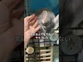 クワガタ（オモチャ）を見たチンチラはどんな反応❓＃chinchilla＃チンチラ＃shorts