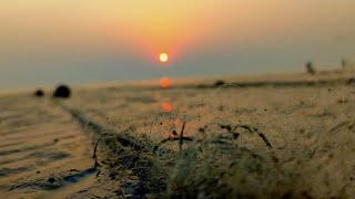 Beautiful Sunset in Kuakata | Kuakata Sea Beach | কুয়াকাটা সমুদ্র সৈকতে অসাধারণ সূর্যাস্ত🌄