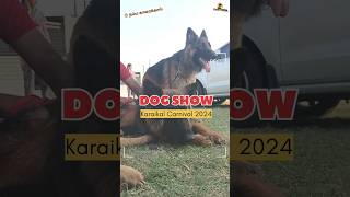 #DogShow 2024 | #Karikal #Carnival #DogShow 2024 | #DogLovers | #Puduchery | #DogMarket | #shorts