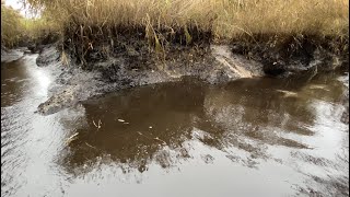 HUGE BEAVER DAM COLLAPSE IT DRAINED FAST!