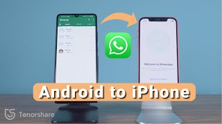 Move WhatsApp from Android to iPhone with iCareFone for WhatsApp Transfer